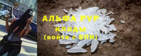 трава Аркадак