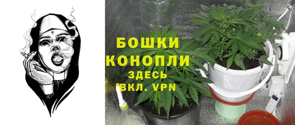 spice Новодвинск